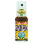 Xarope-Natus-Minas-Completo-Spray-35ml