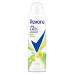 desodorante-aerossol-feminino-rexona-erva-doce-150ml