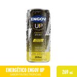 7896094931138-EngovUpTropical269ml-1.jpg